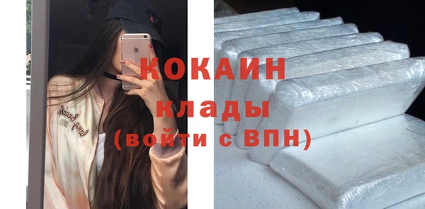стафф Арсеньев