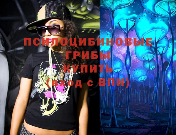 стафф Арсеньев