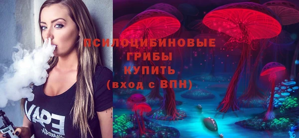 стафф Арсеньев